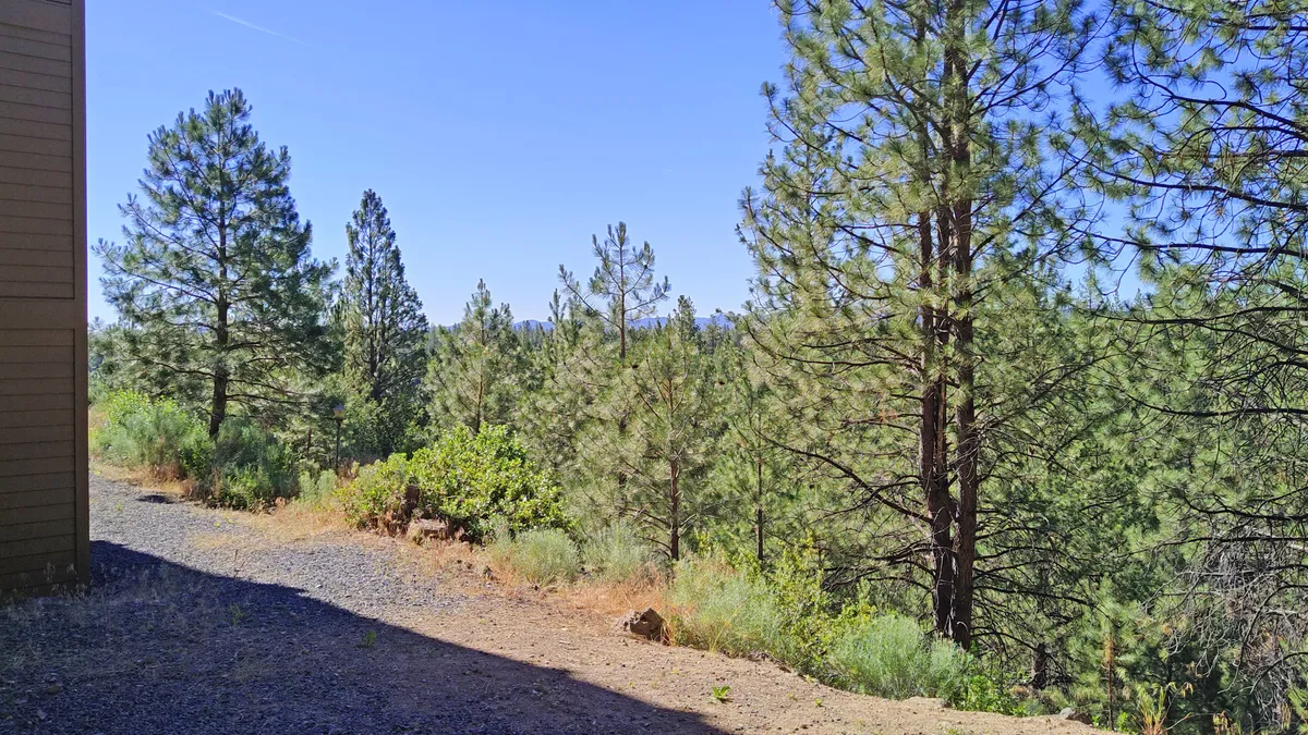 This exterior image showcases a tranquil pathway winding through tall pine trees, with a distant mountain range visible beneath the early morning light. The scene embodies the peaceful natural beauty surrounding the resort and hints at the proximity of hiking and biking trails.